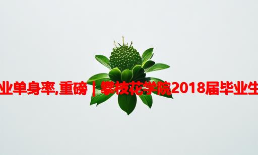 攀枝花学院计算机专业单身率,重磅 | 攀枝花学院2018届毕业生就业质量年度报告...